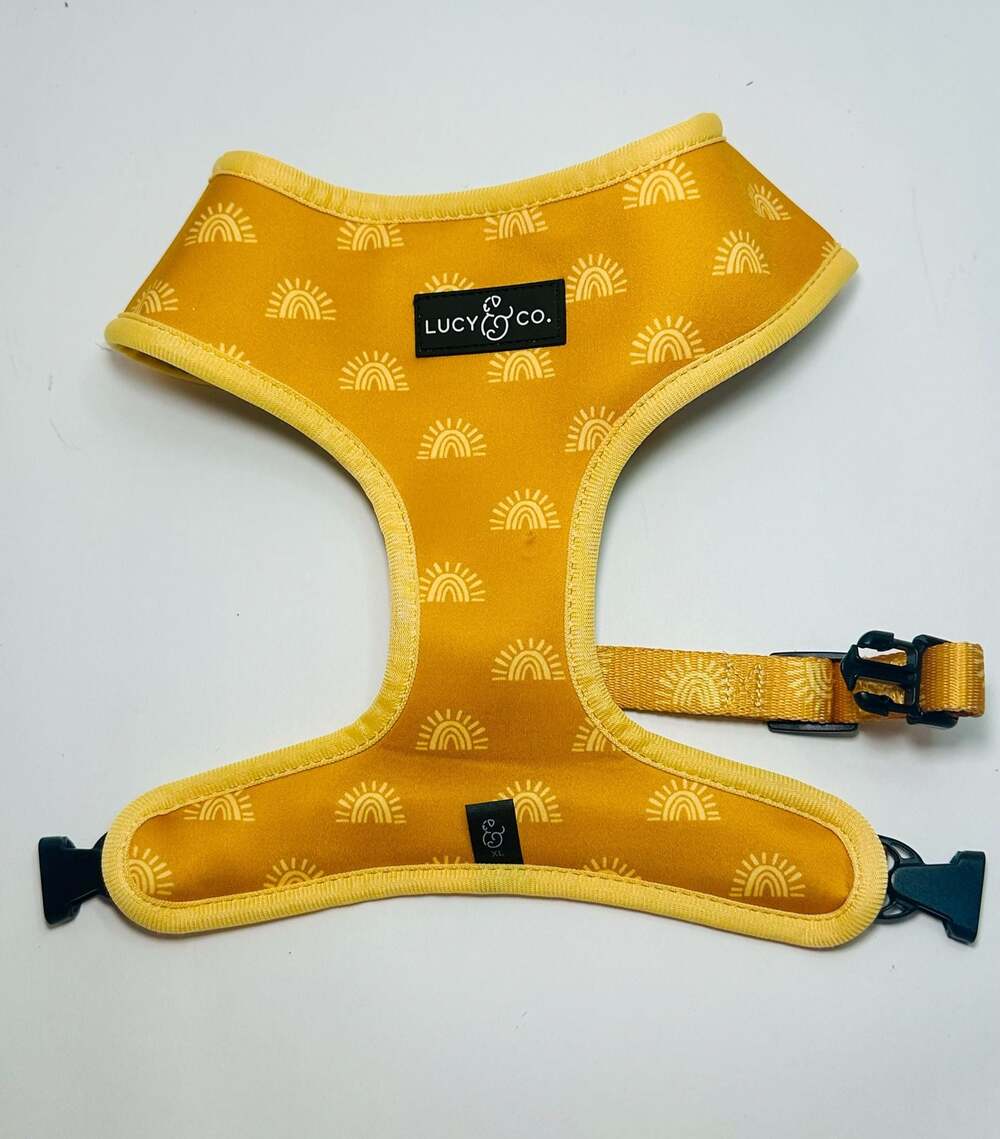 Lucy & Co. The Looking Sharp Reversible Dog Harness